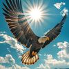yasirarafatemon41gmail.c