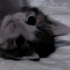 nybog_2