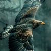ahmed.hamada7541
