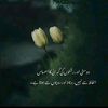 rana.yusuf08