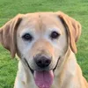 oscar.braithwaite