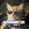 lazyboy....17