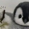 enhypen_585