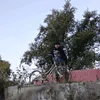 abu1ghal2iiii