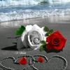 user418468103707
