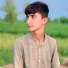 mehran.mari