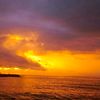 acun_48