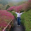 lan.ngoc4421