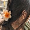 anha.chowdhury46
