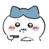 user300409913