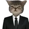 fjwidbgwj