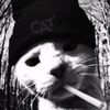rappz21hz