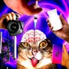 stepys_5