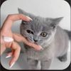 eman896375