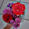 marilopez27181