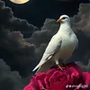 themanevil8