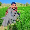 ustad.sabzo2