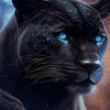 abdoul.salam146