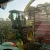yoyo_agribzh
