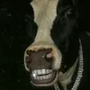 kethongtriloaibo_me