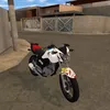 benjamimx1