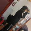 luceroo__.sheila1913
