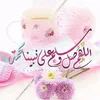 user8491565074322