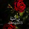 user3824877187175