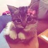 andreea.kbt