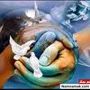 amir.hassanzadeh84