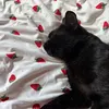 ninixx2177