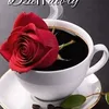 daro7764
