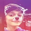 nswbayler.kiss