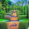 user207117487619689