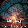 user99165378282996