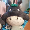 ampomtan0523