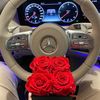 emyly0100