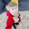 kyle13delgado