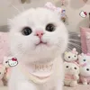_p.nghiiii_