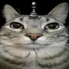 gatitoajedrecista38