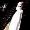 anwar01169