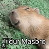 masbroturu