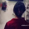 gipbi_13