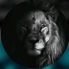 darkmotivate680