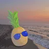 9sas_ananac
