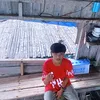chomer.paraja