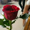 lisha.yadav.11