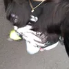 jenifeer.31