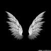 aysel.2626