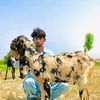 faisal.husnain.bho